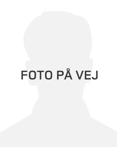 Steffen Ekkenberg Pallesen